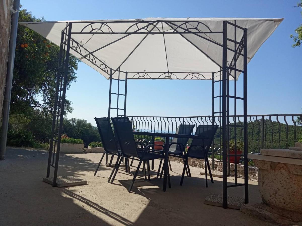 Holiday Apartments Maslina Paho Babino Polje Exterior photo