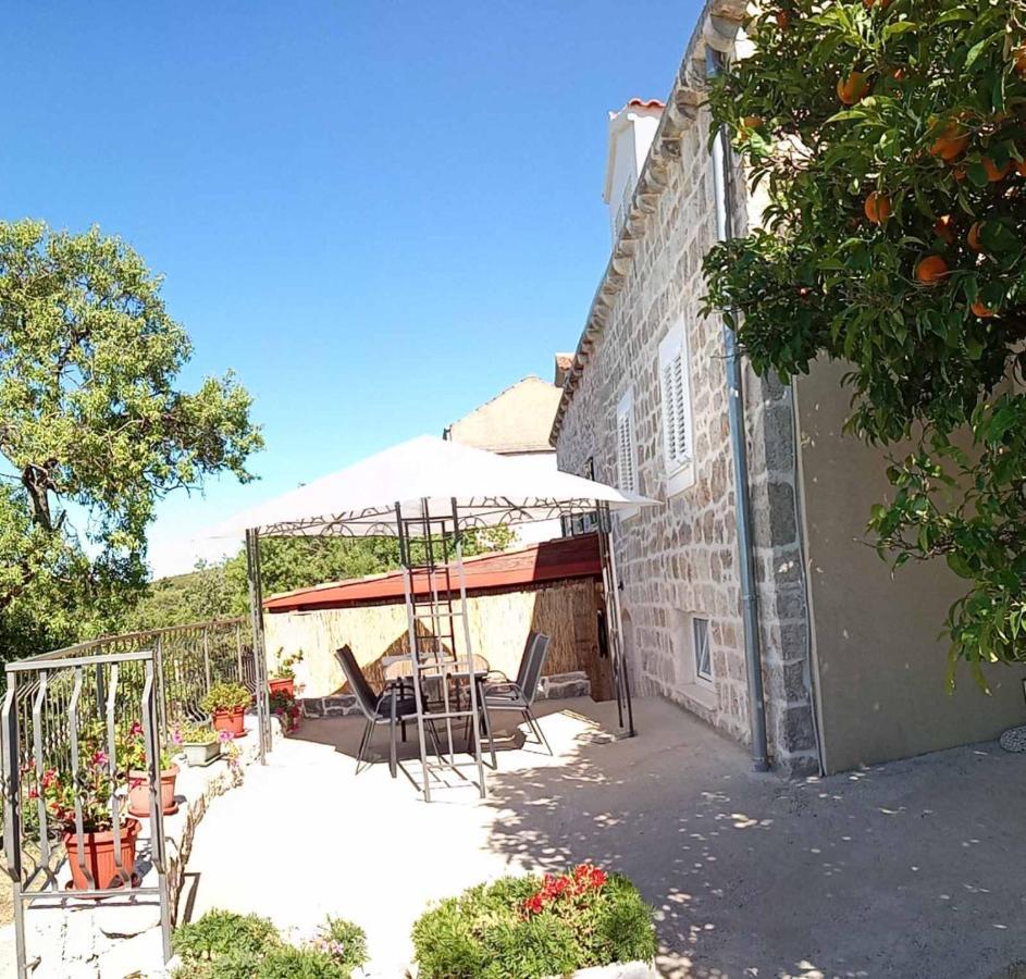 Holiday Apartments Maslina Paho Babino Polje Exterior photo