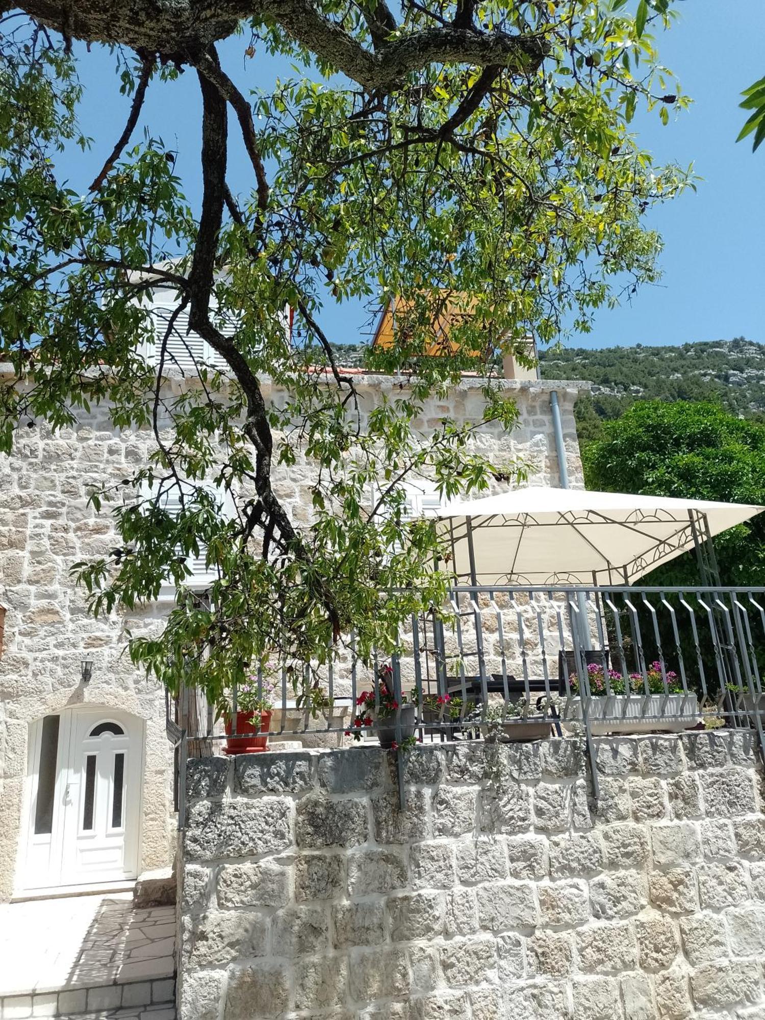 Holiday Apartments Maslina Paho Babino Polje Exterior photo