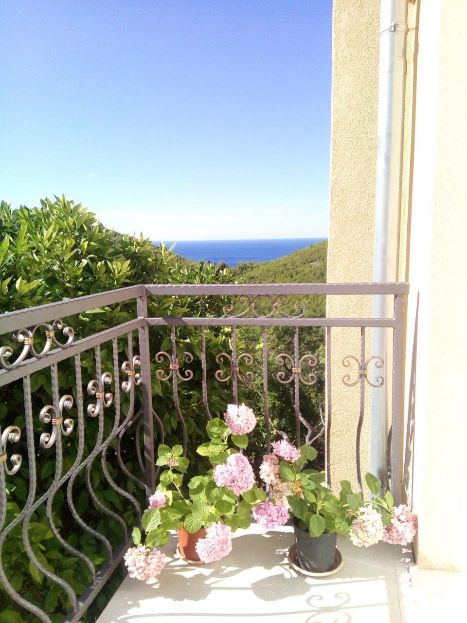 Holiday Apartments Maslina Paho Babino Polje Exterior photo